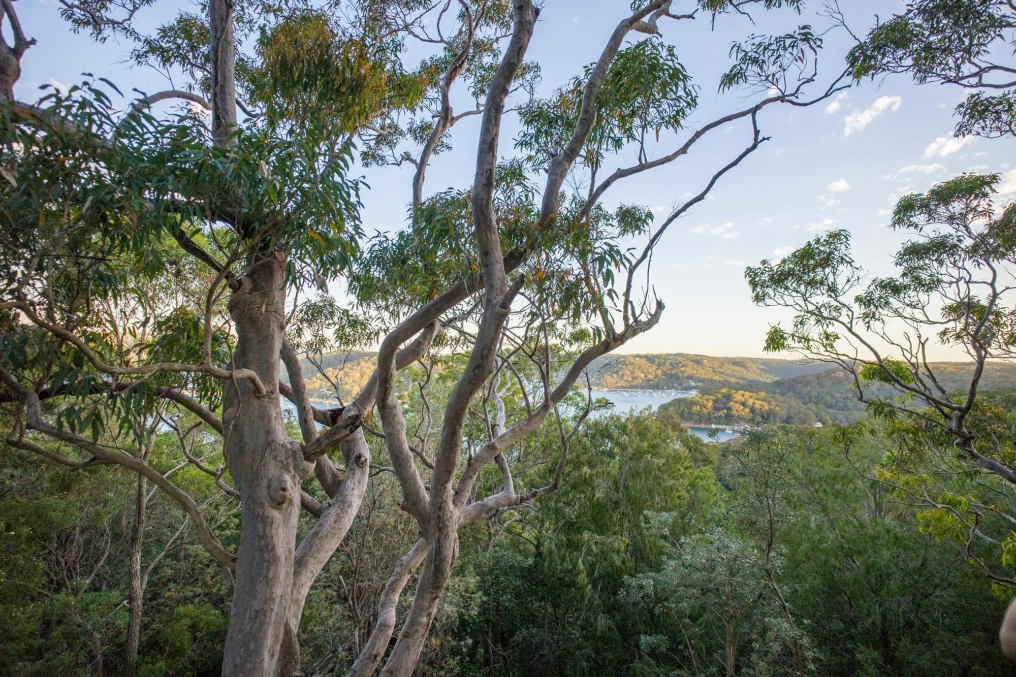 Hostel Yha Pittwater Eco, Sydney Church Point Exterior foto